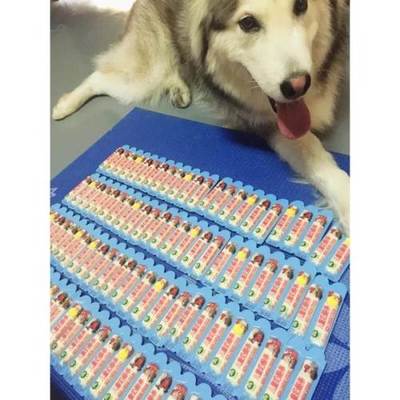 宠物奶酪 苏州宠物食品的“营养小方”，46一箱包邮108条值不值？