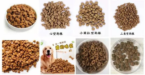 创新宠物饮食 多口味宠物饲料膨化机的应用与发展