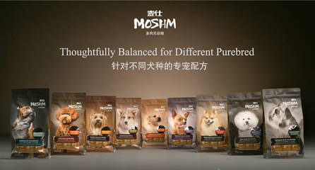 麦仕出席宠物食品座谈会，共探宠物食品市场新趋势与品牌发展